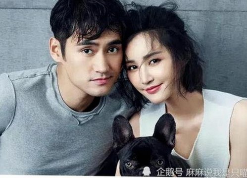 范冰冰、杨幂等明星的爆料历程：黑料网背后的娱乐圈真相