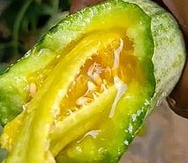 00后明星奶爸辣妈带娃趣事：娱乐圈的育儿新风潮