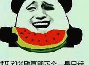 从豪车到吃瓜猫：娱乐圈与网络红人的鲜活故事