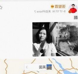 从豪车到吃瓜猫：娱乐圈与网络红人的鲜活故事