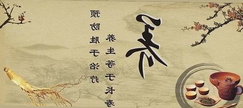 张杨与丫丫：从甜蜜合照到公益现场的温情轨迹