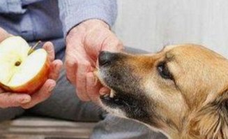 娱乐圈吃瓜文化揭秘：明星背后的故事与真相