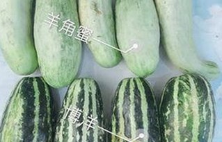 娱乐圈“吃瓜网”热议：真相与谣言如何交织？