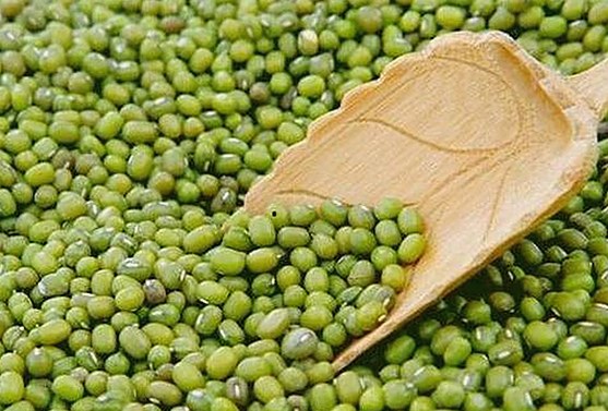 郑州吃瓜娱乐公司揭秘：行业内幕与背后故事